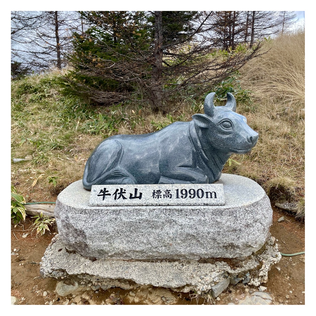 #社員の日常 おはようございます♪休日に美ヶ原高原に行ってきました。放牧終わっていたので山を見るだけになってしまいましたが、とっても景色が良かったです！！壮大な山たちでした⛰️🌋#山 #美ヶ原高原 #ITコンサルティング #IT #コンサルティング #ITコンサル #コンサル #エンジニア #pm #pmo