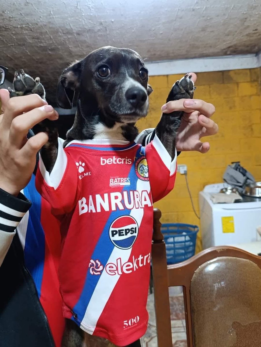 XelajuMc_'s tweet photo. No te vayas a ilusionar con el Xelaju. 

Yo: https://t.co/HBi8cURIak