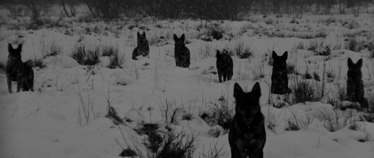 HauntedMovies's tweet photo. Marketa Lazarová (1967) dir. František Vláčil https://t.co/V6UsZYXeZT
