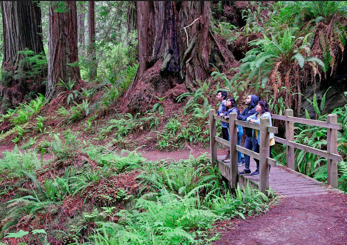 National Park Service (@natlparkservice) on Twitter photo In 2025, the NPS will waive entrance fee to national parks for six days:
๐ Jan 20 โ MLK, Jr. Day
๐ Apr 19 โ First Day of National Park Week
๐ June 19 โ Juneteenth
๐ Aug 4 โ Great American Outdoors Act Signing Day
๐ Sep 27 โ National Public Lands Day
๐ Nov 11 โ Veterans Day In 2025, the NPS will waive entrance fee to national parks for six days:
๐ Jan 20 โ MLK, Jr. Day
๐ Apr 19 โ First Day of National Park Week
๐ June 19 โ Juneteenth
๐ Aug 4 โ Great American Outdoors Act Signing Day
๐ Sep 27 โ National Public Lands Day
๐ Nov 11 โ Veterans Day