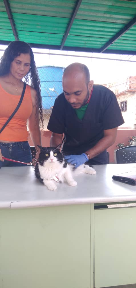 etrejo2017's tweet photo. #05Dic #LosTeques con orientaciones del Gob Elio Serrano a través de SecProtección Animal @maigualidav en coord. con el Sistema de Misiones #Guaicaipuro con @SomosNevado nos acercamos a la Matica y se atendieron *79* 🐶😸 con Jornada Gratuita Veterinaria @farith15 https://t.co/h9VW7jiFHZ