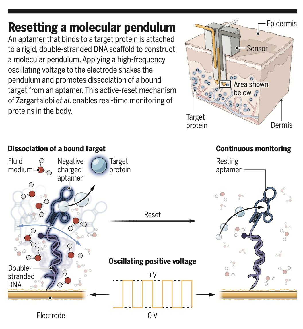 Eric Topol (@erictopol) on Twitter photo Quite an innovation!
Continuous real-time monitoring of inflammation and protein biomarkers in the body with a shaking sensor
science.org/doi/10.1126/sc…
<a href="/ScienceMagazine/">Science Magazine</a>
<a href="/HZargartalebi/">Hossein Zargartalebi</a> <a href="/NorthwesternU/">Northwestern</a> <a href="/czbiohub/">Chan Zuckerberg Biohub Network</a> Quite an innovation!
Continuous real-time monitoring of inflammation and protein biomarkers in the body with a shaking sensor
science.org/doi/10.1126/sc…
<a href="/ScienceMagazine/">Science Magazine</a>
<a href="/HZargartalebi/">Hossein Zargartalebi</a> <a href="/NorthwesternU/">Northwestern</a> <a href="/czbiohub/">Chan Zuckerberg Biohub Network</a>