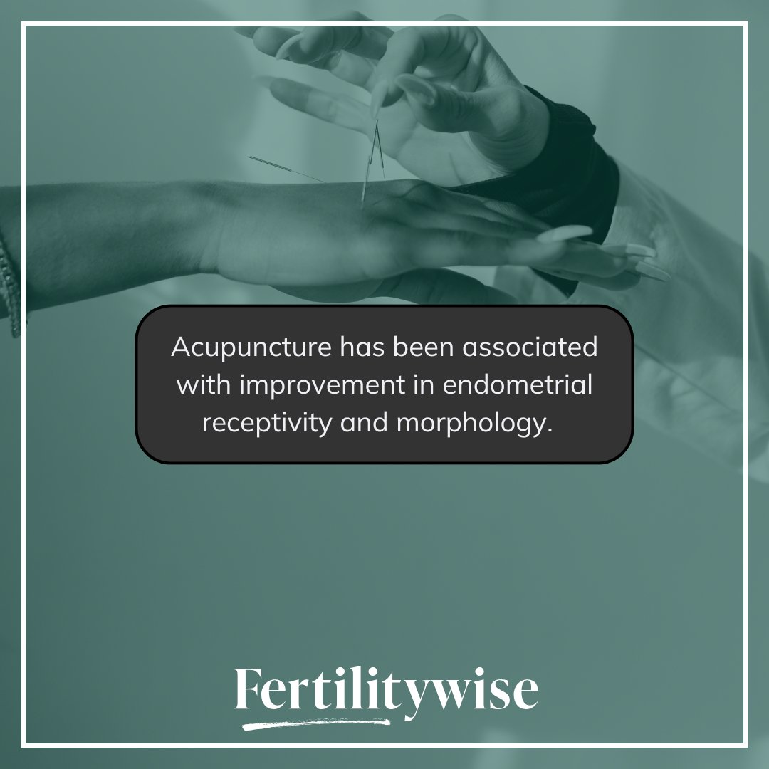 Looking to try acupuncture to support fertility? Though it is not a guaranteed solution (it has limited evidence and mixed results), it has helped some patients in their journeys. 

Learn more about acupuncture for fertility at the link in our bio. 

#Fertilitywise #acupuncture