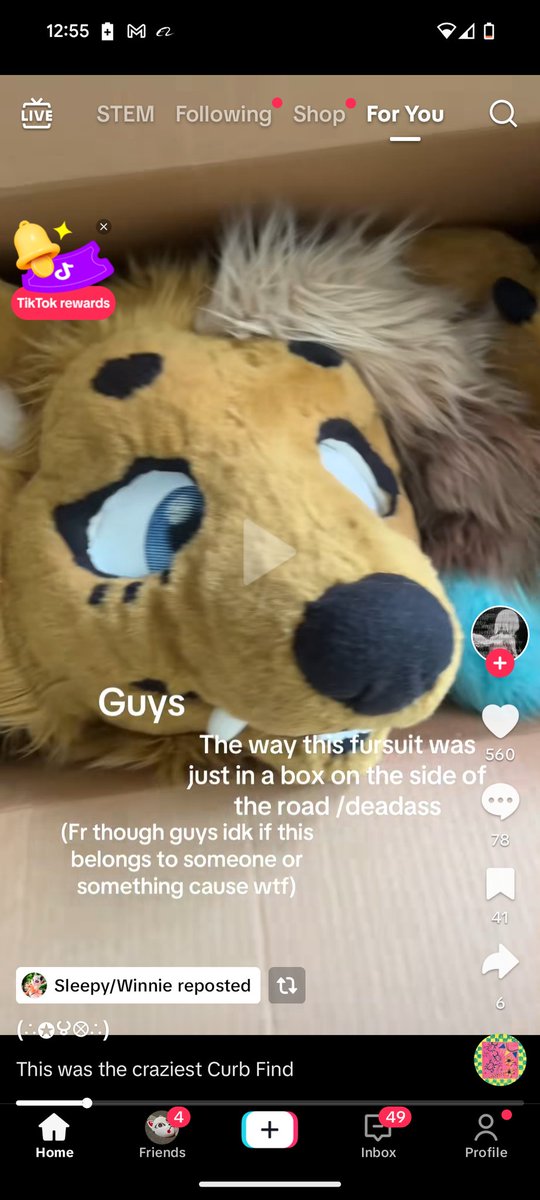 🌈Kaluna Tiger 🐅 🔜 AFC (@kalunapup) on Twitter photo <a href="/FursuitSAR/">please join me on bsky</a> someone on tiktok found this suit on the side of the road! Retweet to help boost and find the owner!! <a href="/FursuitSAR/">please join me on bsky</a> someone on tiktok found this suit on the side of the road! Retweet to help boost and find the owner!!