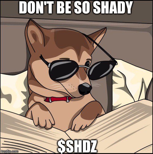 XalvorCrypto's tweet photo. @Maverickscalls I’ll give you $SHDZ 

Binance insider play strong community @binance @cz_binance @BashKOsman_ 

DfAwMXCmAyxt19Q1QxjHyS2ggskVwCnFaYSqgTF9pump https://t.co/0MSW4wyLBk