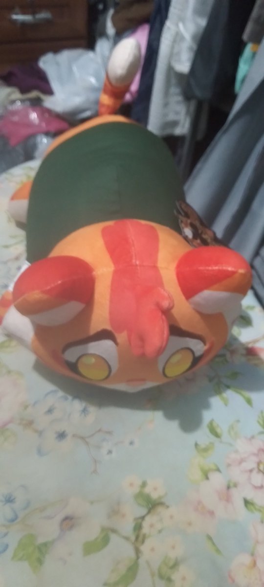 🐱𝓒𝓪𝓵𝓿𝓲𝓷, 𝓡𝓸𝓬𝓴𝔂 𝓪𝓷𝓭 𝓘𝓿𝔂🧡💙💛 tweet media