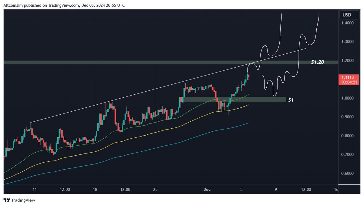 Trader Jim tweet media