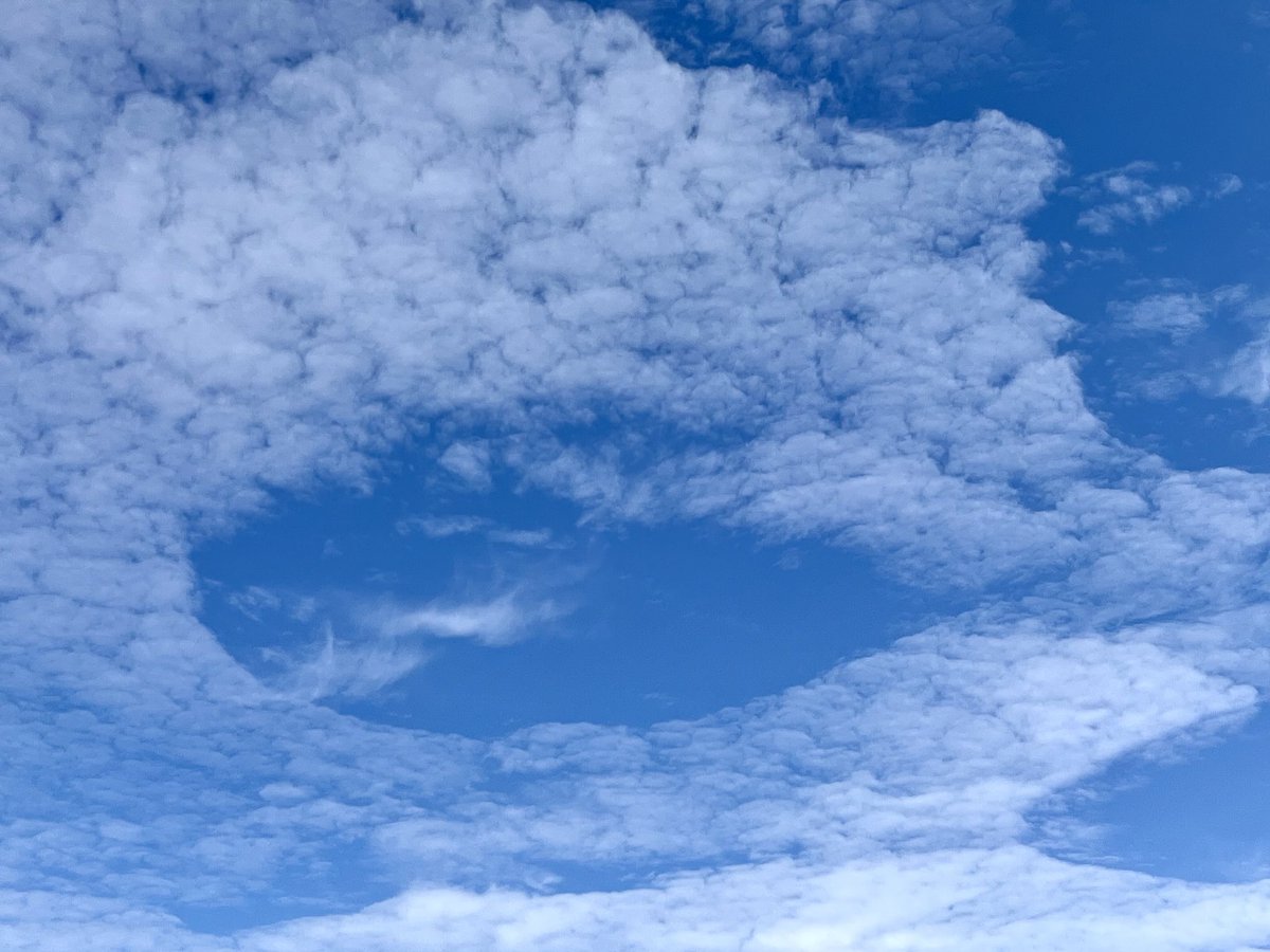 33y45rpm's tweet photo. Cielo “aborregado”; nubes altocumulus floccus en #Huichapan, Hgo.

⁦@InfoMeteoro⁩ 
⁦@metmex⁩ 
⁦@conagua_clima⁩ .
⁦@cumulunimbus⁩ https://t.co/qckMJMagSh