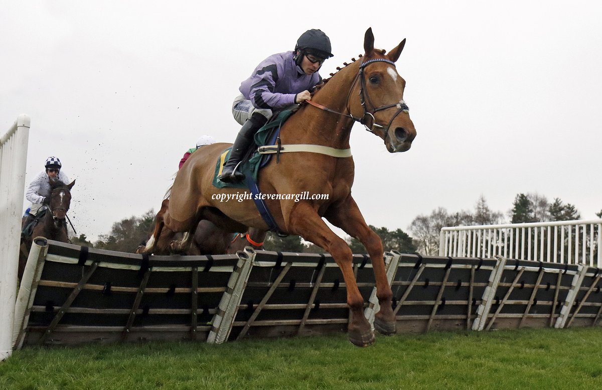 Steven Cargill tweet media