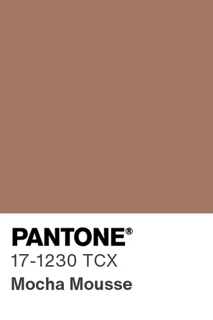 YouAreMyBezoar's tweet photo. Tenemos el color del 2025 segun PANTONE. Mocha Mousse es un marrón que nos remite a la necesidad de confort y a su vez "se trata de replantear las experiencias, comprender la importancia de los pequeños placeres y vivir el momento." https://t.co/bkPdhxeXaX