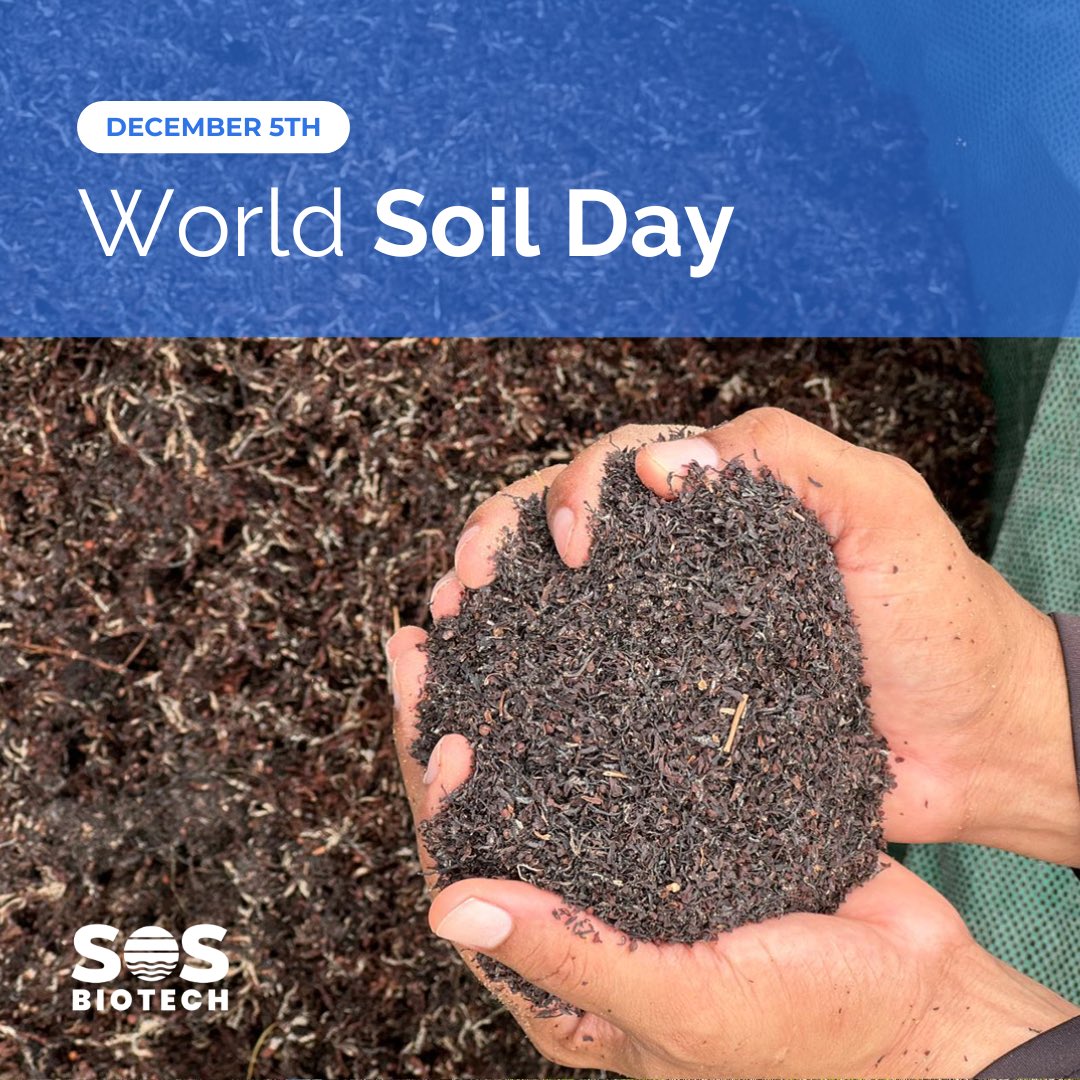 SOS_Biotech's tweet photo. 🌎✨ This #WorldSoilDay, #SOSBiotech celebrates the foundation of sustainable agriculture: healthy soil. With innovations like Marine Soil &amp; Marine Symbiotic, we boost crop resilience, reduce synthetic fertilizers, and empower farmers—protecting our planet’s vital resources. 🌱💚 https://t.co/ctSQlVsNTM