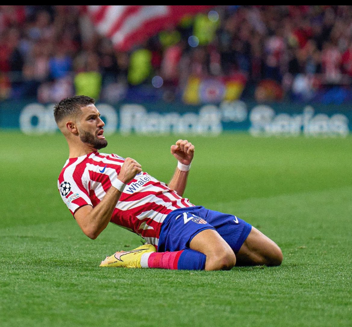 Vuelve a casa porfavor.
