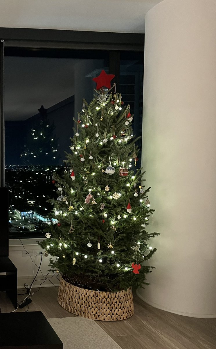 emma_game_1117's tweet image. 今年も生木のツリー🎄早くクリスマスにならないかなー🔔 #livetree #Christmas2024