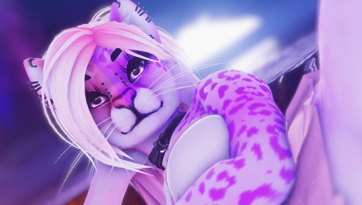 Luna tweet media