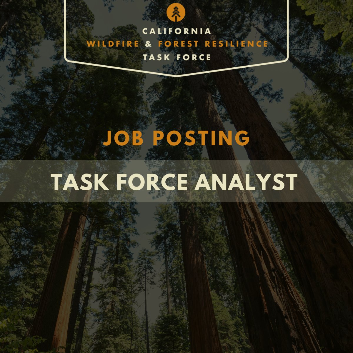 CAwildfireTF's tweet image. Join us! @CAL_FIRE’s Climate &amp;amp; Energy Program is hiring a Task Force Analyst to assist with the overall program coordination &amp;amp; administration of the interagency #WildfireTaskForce. Get more info and apply by 1/2/25: bit.ly/TF-Analyst-Job #TaskForceProgress #GreenJobs #JobAlert