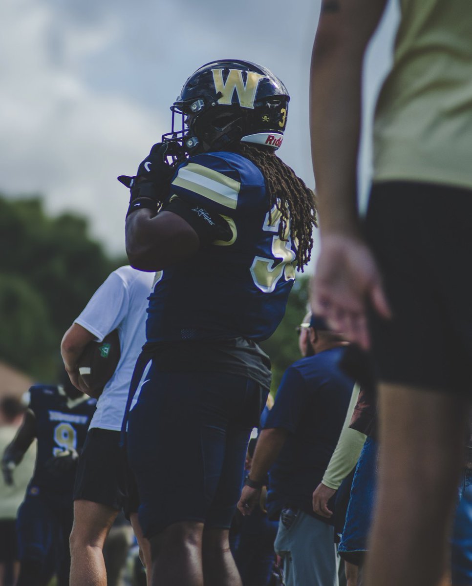 QZilla🦍 tweet media