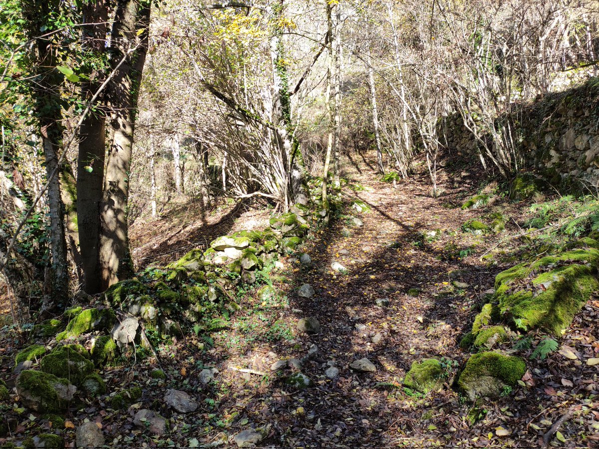 carlosguardia10's tweet photo. L'accés a les bòrdes de Bossòst pel camí vell. Una mostra de la funcionalitat històrica de la xarxa pública de camins de l'Aran #Pirineu #recerca #publicrightsofway https://t.co/LGKk3aZSya