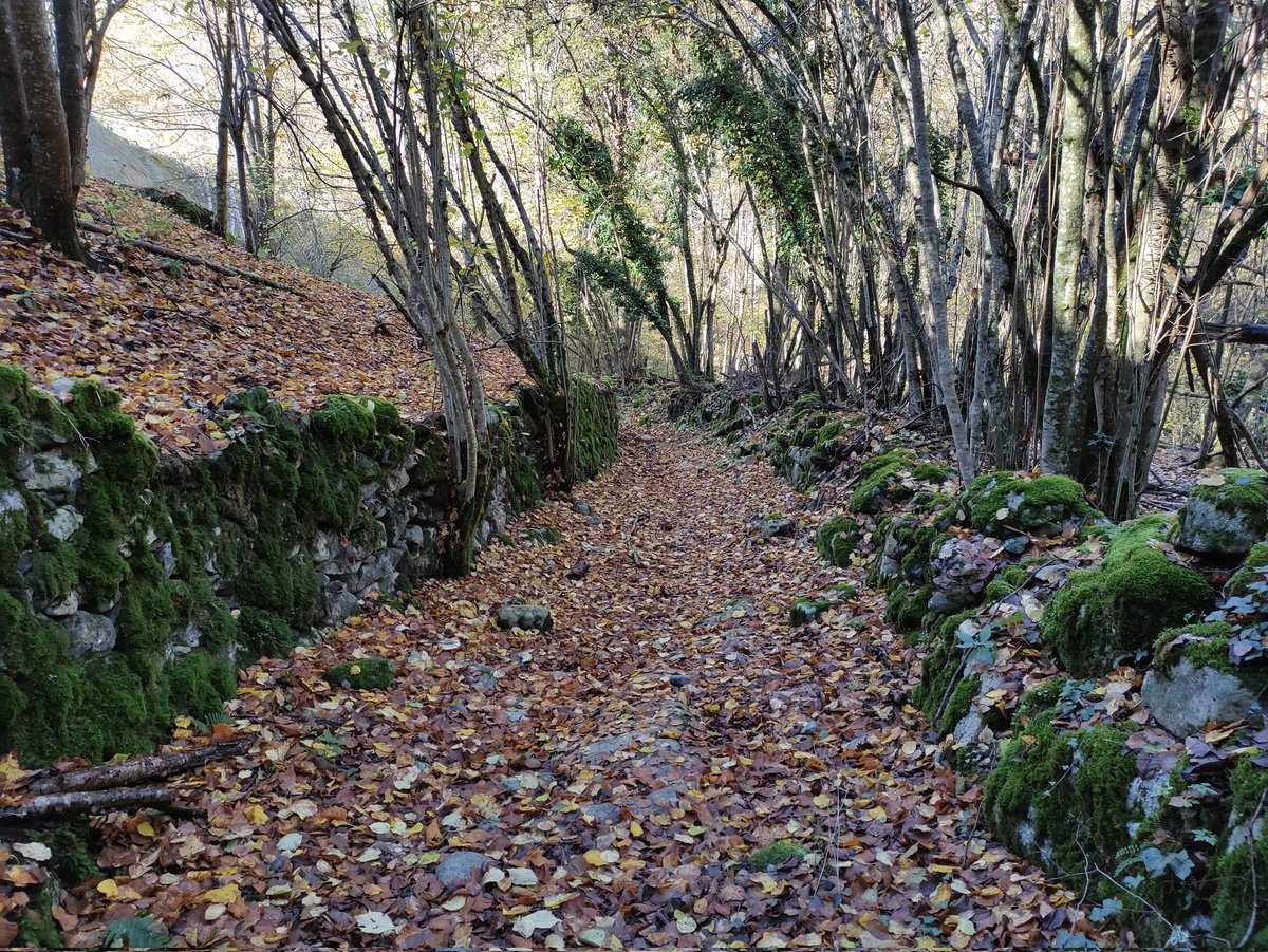 carlosguardia10's tweet photo. L'accés a les bòrdes de Bossòst pel camí vell. Una mostra de la funcionalitat històrica de la xarxa pública de camins de l'Aran #Pirineu #recerca #publicrightsofway https://t.co/LGKk3aZSya