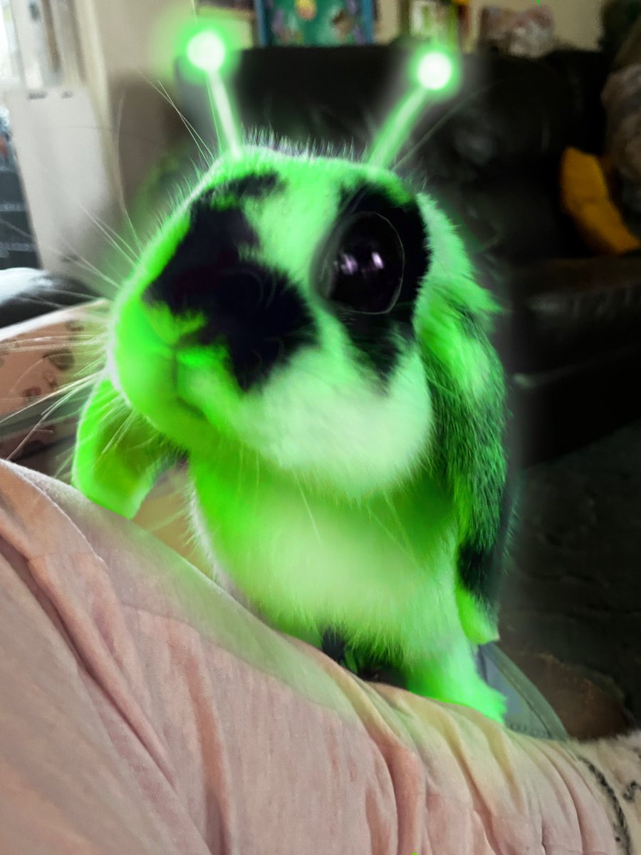 1littlepiglet's tweet image. found this creature in my house? does anybody know what it is?