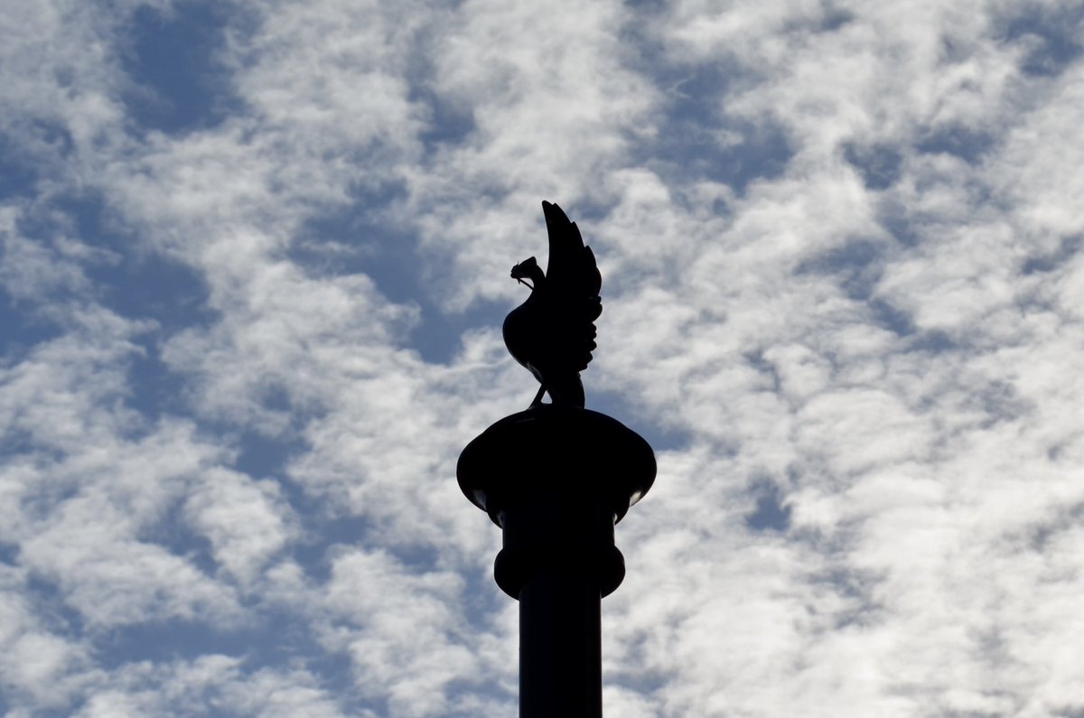 Rob Lundy tweet media