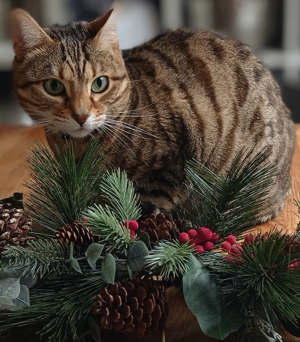 Ruby & Charlie tweet media