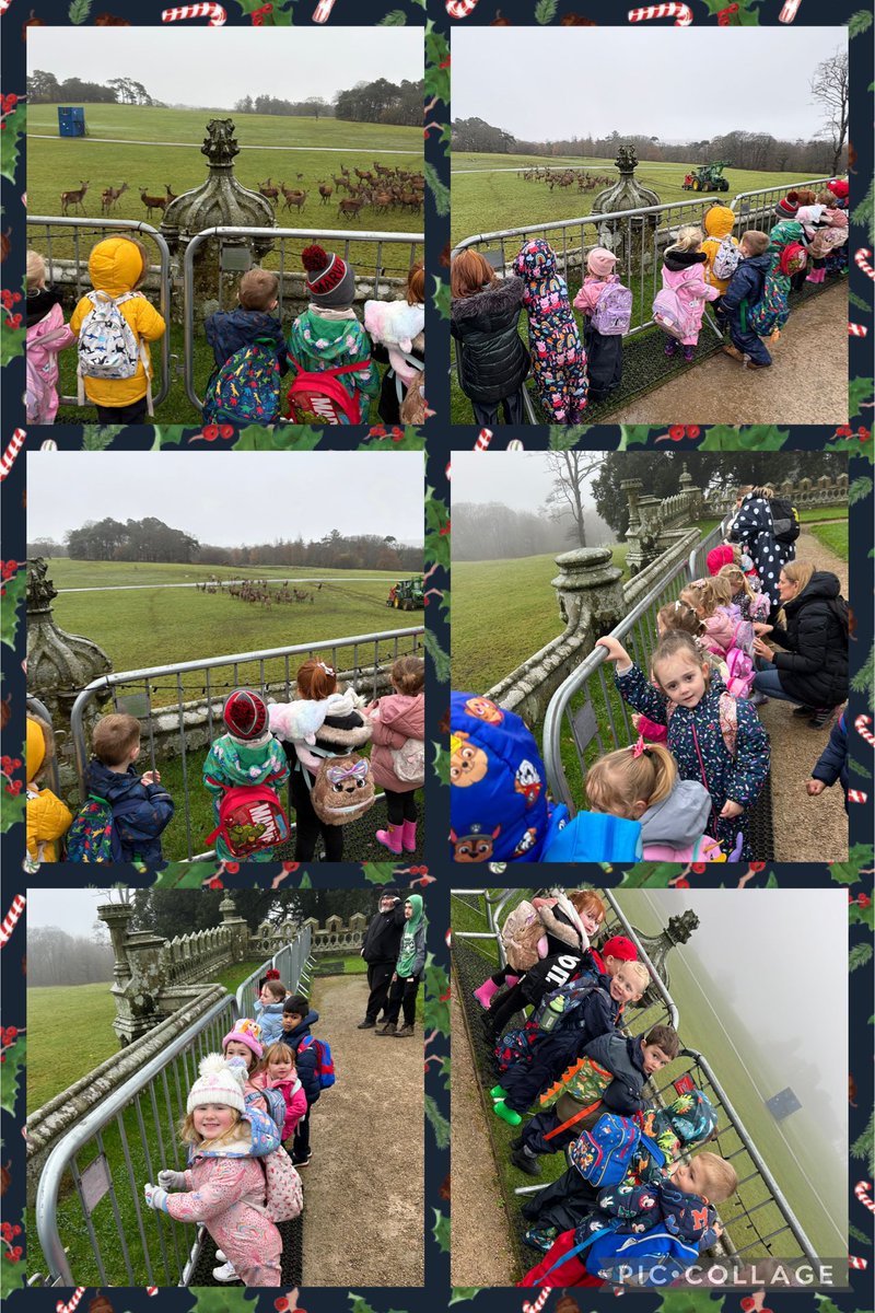 Ysgol Cwm Brombil - Primary Phase tweet media