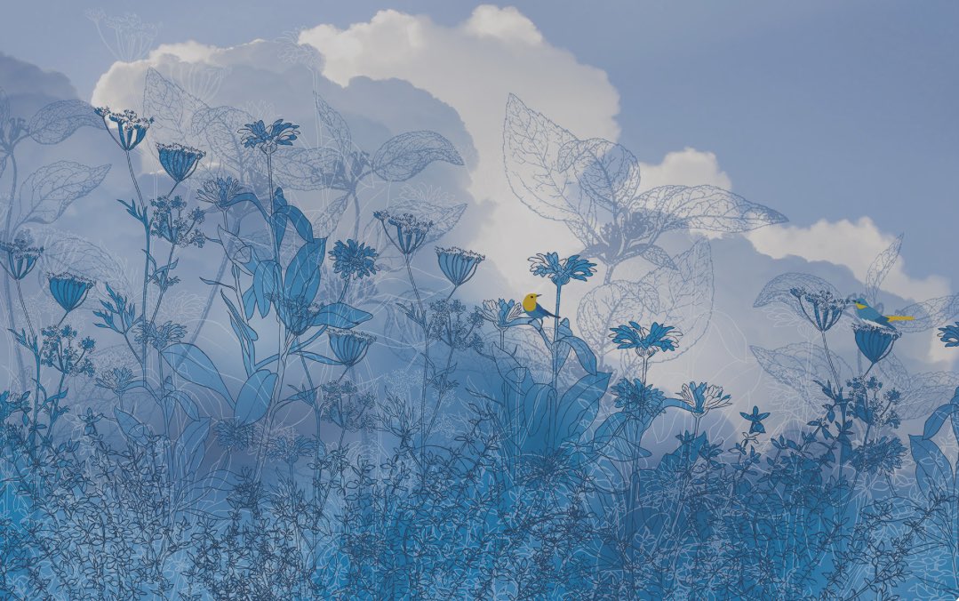 Eva Cukier tweet media