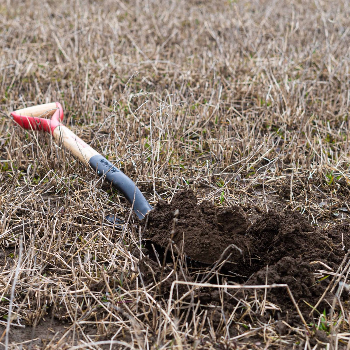 Today is #WorldSoilDay! Soils are a major source of life, and the #Greenbelt protects some of the most fertile land in the country. 🌱 Through our Soil Health Program, we're working to enhance soil resilience, support local farmers, and promote sustainable practices.  🌍💚