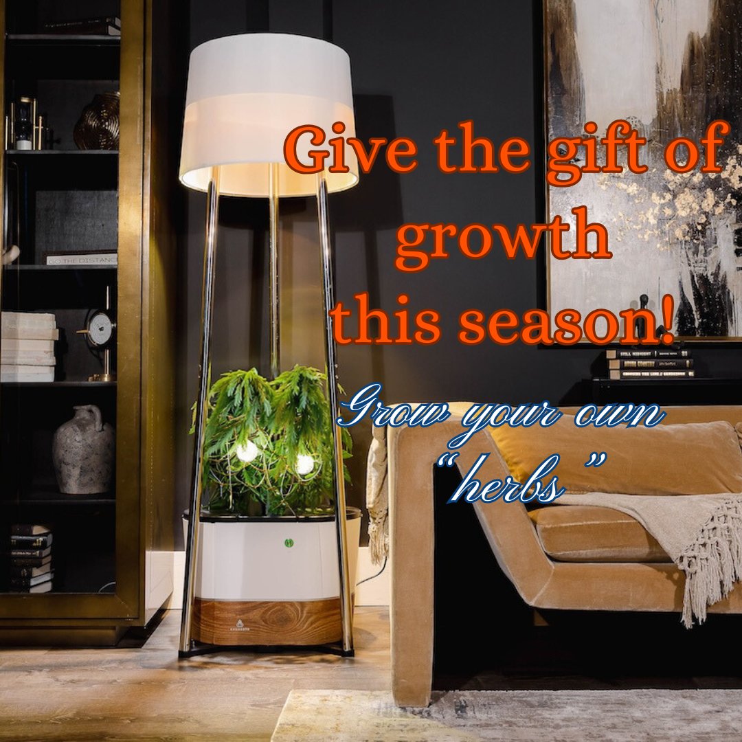 helloannaBoto's tweet photo. 🎁 Give the gift of growth this season! Discover how our smart growing device simplifies cannabis cultivation and brings nature home. 🌱
#Annaboto #Cannabis #HomeGrown https://t.co/g12w9o5wBi