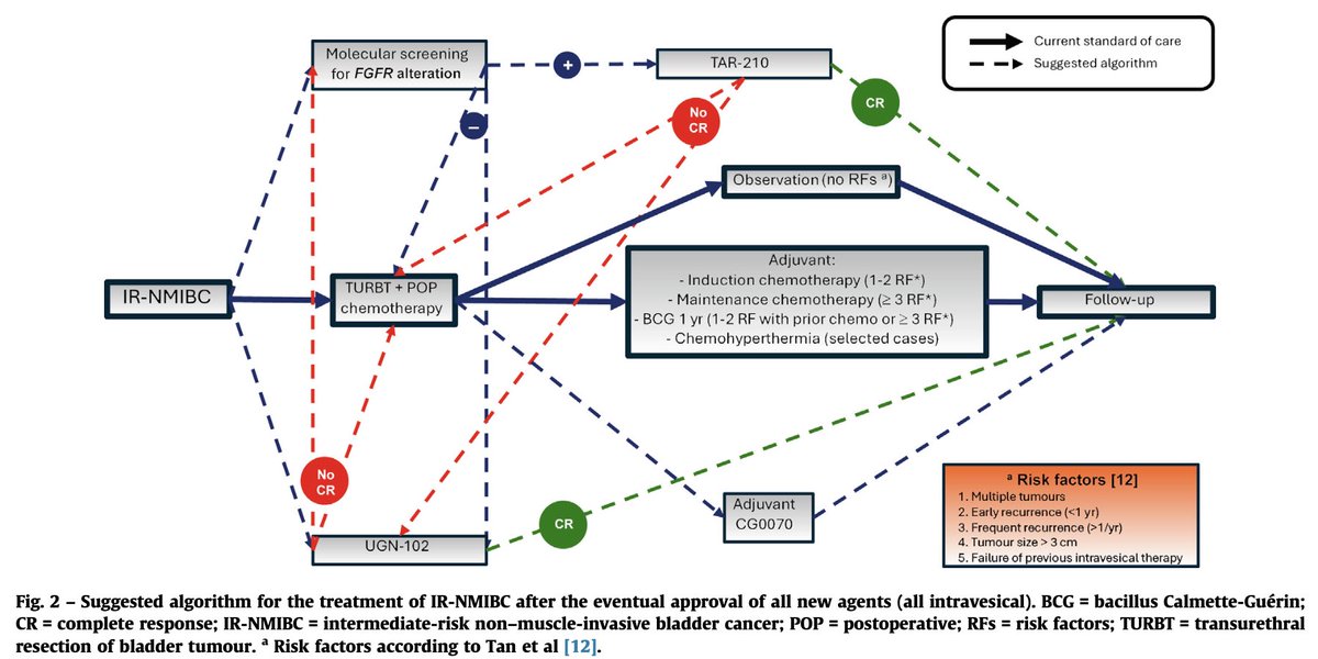 Félix Guerrero-Ramos (@drfelixguerrero) on Twitter photo 📜Our paper on the future management of #NMIBC is out in <a href="/EurUrolOncol/">European Urology Oncology</a> December issue
🧐Read it here: t.ly/YESFU
🔝Authors <a href="/siadaneshmand/">Sia Daneshmand, M.D.</a> <a href="/paolo_gontero/">Paolo Gontero</a> <a href="/UroDocAsh/">Ashish M. Kamat, MD, MBBS</a> <a href="/MRoupret/">Morgan Roupret</a> <a href="/tonivilaseca/">Antoni Vilaseca</a> <a href="/DrShariat/">Shahrokh F. Shariat</a>
👀<a href="/H12Octubre/">Hospital Universitario 12 de Octubre</a> <a href="/Urologia12/">Department of Urology, Hospital 12 De Octubre</a> <a href="/bvh12o/">bibliotecah12o</a> <a href="/Uroweb/">European Association of Urology (EAU)</a> <a href="/IBCG_BladderCA/">IBCG</a> <a href="/GUOaeu/">GUO-AEU</a> 📜Our paper on the future management of #NMIBC is out in <a href="/EurUrolOncol/">European Urology Oncology</a> December issue
🧐Read it here: t.ly/YESFU
🔝Authors <a href="/siadaneshmand/">Sia Daneshmand, M.D.</a> <a href="/paolo_gontero/">Paolo Gontero</a> <a href="/UroDocAsh/">Ashish M. Kamat, MD, MBBS</a> <a href="/MRoupret/">Morgan Roupret</a> <a href="/tonivilaseca/">Antoni Vilaseca</a> <a href="/DrShariat/">Shahrokh F. Shariat</a>
👀<a href="/H12Octubre/">Hospital Universitario 12 de Octubre</a> <a href="/Urologia12/">Department of Urology, Hospital 12 De Octubre</a> <a href="/bvh12o/">bibliotecah12o</a> <a href="/Uroweb/">European Association of Urology (EAU)</a> <a href="/IBCG_BladderCA/">IBCG</a> <a href="/GUOaeu/">GUO-AEU</a>