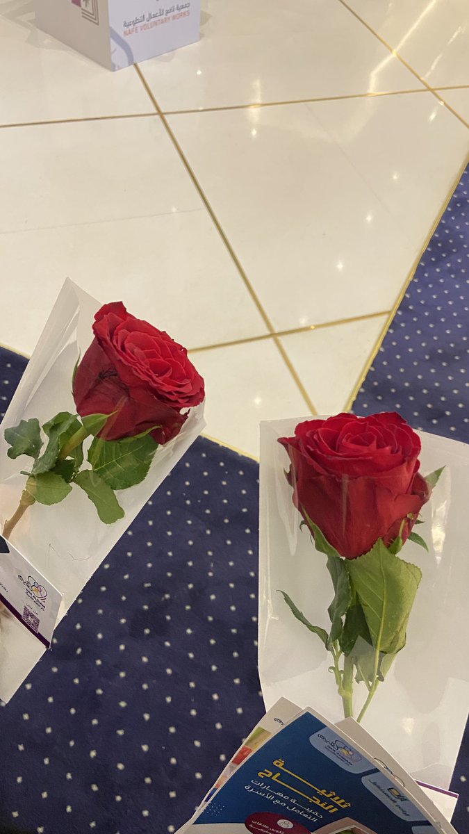SH_A201's tweet photo. 🌷🌷 https://t.co/qd6xYXogOO