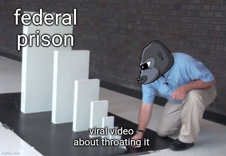 You literally can not make this stuff up.

😄 🤣 

$monke $hawk $tush #Bitcoin