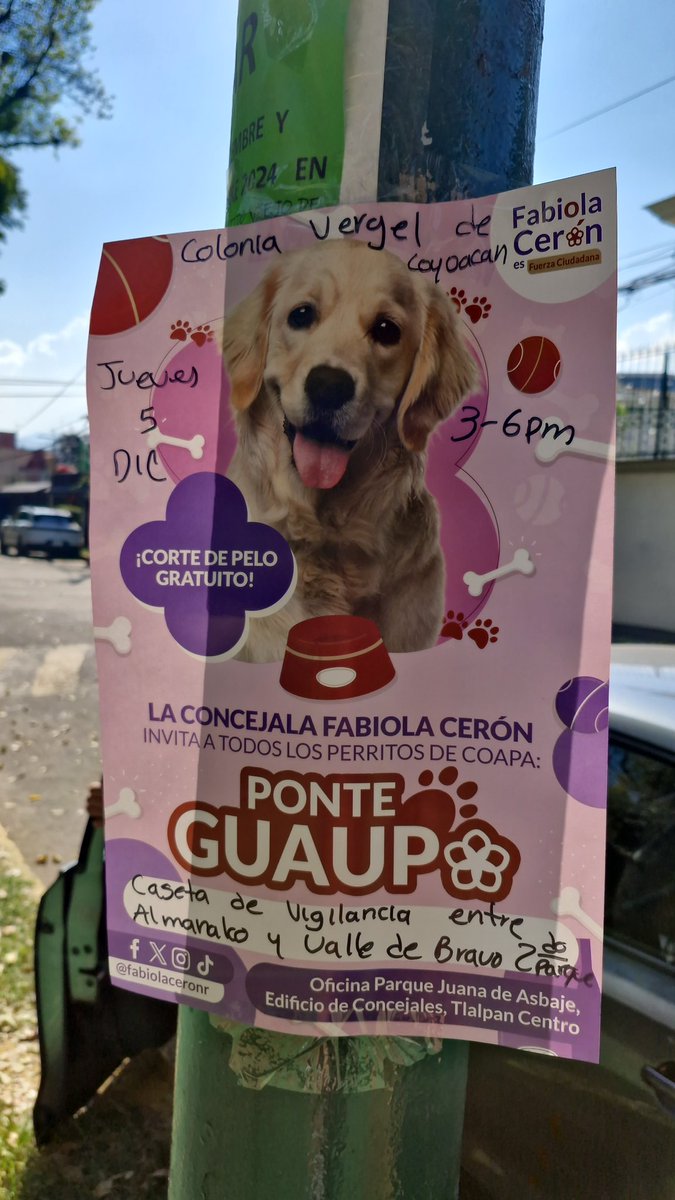 Catsmx69's tweet photo. @fabiolaceronr  si vienen hoy acá? 
@kidnoa  ya los está esperando 🙃 https://t.co/z1oFWgZini