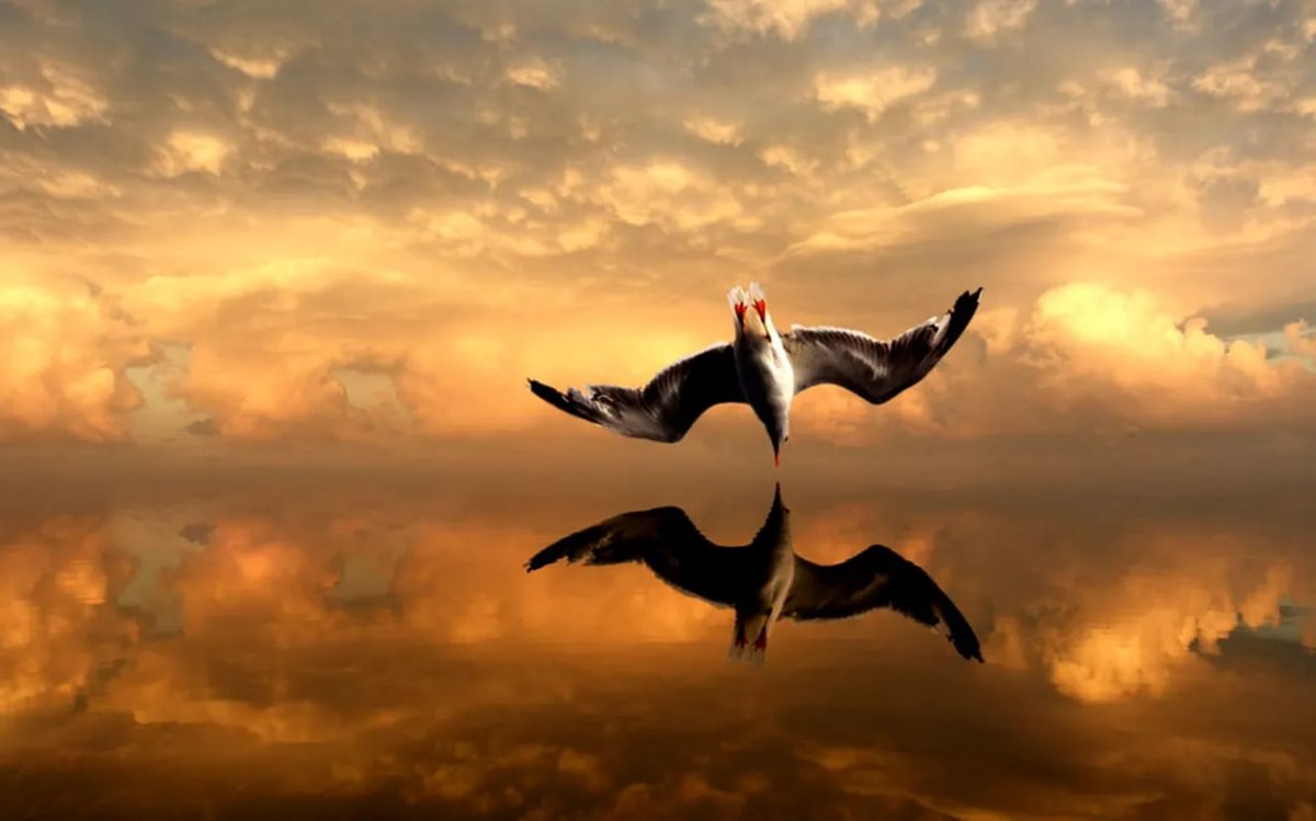 Baba086's tweet image. Low energy feelings include anger, hatred, envy, shame, guilt, and related thoughts. Not only do they weaken you, but they also attract their own kind! 🔥