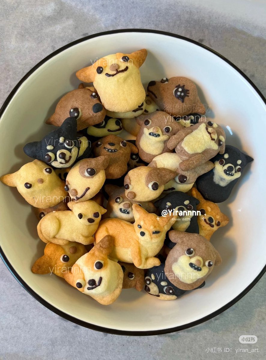 💖 (@twaniimals) on Twitter photo 