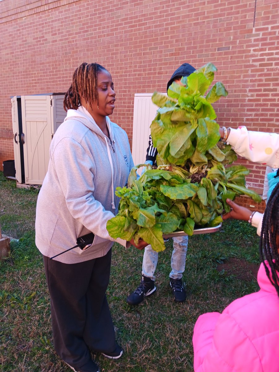 Willie Holmes (@hcs_wellness) on Twitter photo Students <a href="/OAK_HCS/">Oakland Elementary</a> platting the lettuce from the school garden for them and their peers to partake. I heard so many, "This is good Ms. Holmes." 😃 <a href="/HenryCountyBOE/">Henry County Schools</a> <a href="/Johnsonandre_/">André Johnson</a> <a href="/FredricLatschar/">Fred Latschar</a> <a href="/HealthMPowers/">HealthMPowers</a> Students <a href="/OAK_HCS/">Oakland Elementary</a> platting the lettuce from the school garden for them and their peers to partake. I heard so many, "This is good Ms. Holmes." 😃 <a href="/HenryCountyBOE/">Henry County Schools</a> <a href="/Johnsonandre_/">André Johnson</a> <a href="/FredricLatschar/">Fred Latschar</a> <a href="/HealthMPowers/">HealthMPowers</a>