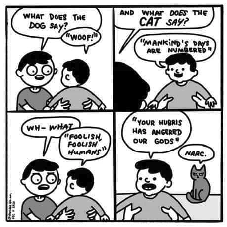 Silver Dawn tweet media