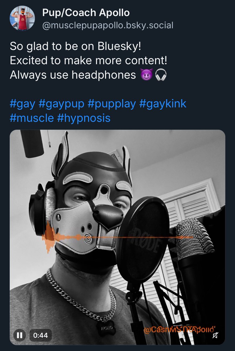 Coach Apollo tweet media