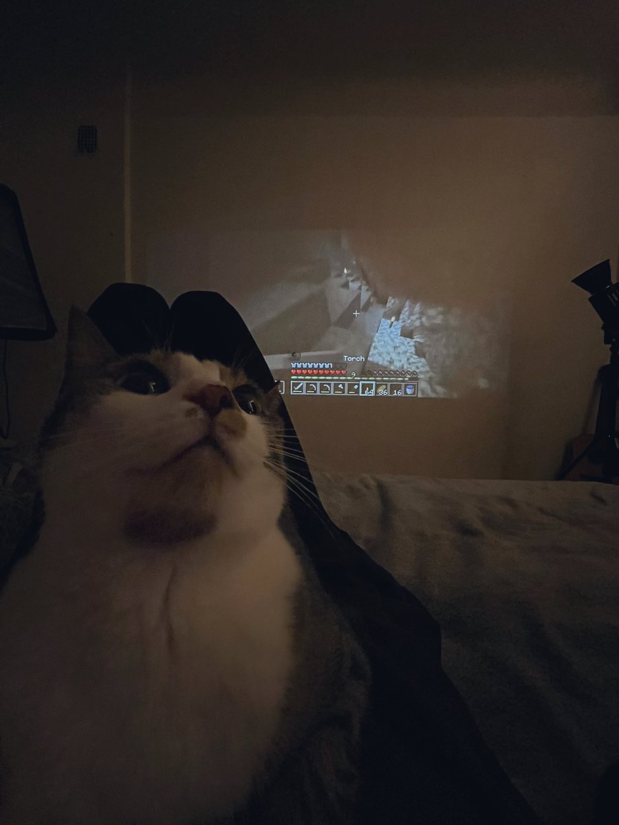 rumko1a's tweet photo. GIRL CAVE https://t.co/KYLyXibIFh