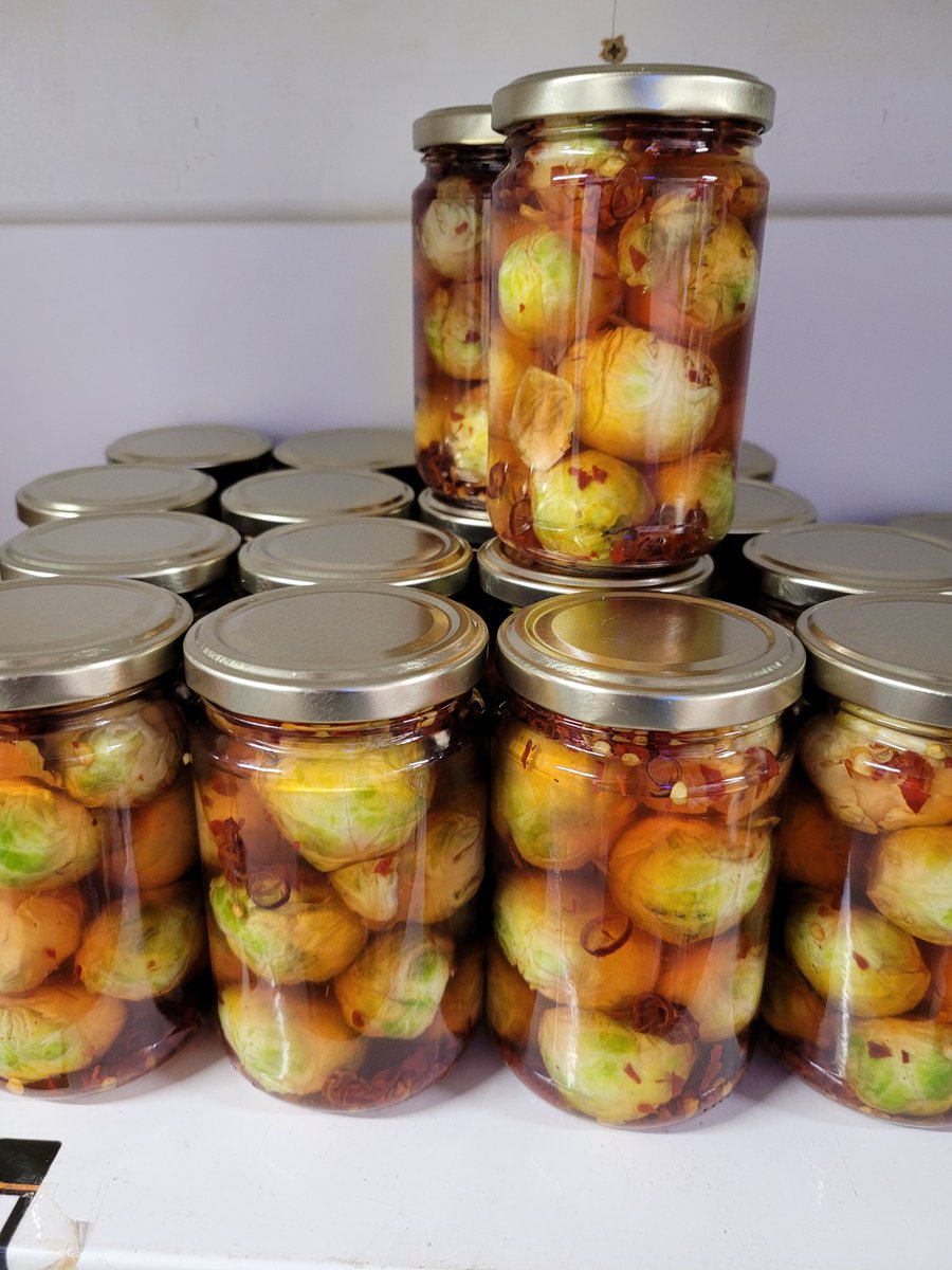 friars farm #SBS Winner (@friarsfarm1) on Twitter photo Thr mad Prince of pickles has created these things . Pickled brussels with ring of fire chilli's. Ooh er Mrs. Ready in a week or so <a href="/CoCharcuterie/">Northampton Charcuterie Co #SBSWINNER</a> <a href="/NorthamptonCo/">The Northampton Cheese Company #SBS WINNER</a> <a href="/BernieKeith100/">Bernie Keith</a> <a href="/JoeBangles11/">Joe Bangles CBE</a> <a href="/PhippsNBC/">Phipps NBC ales</a> <a href="/ChronandEcho/">Northampton Chron</a> @stevecheesewine Thr mad Prince of pickles has created these things . Pickled brussels with ring of fire chilli's. Ooh er Mrs. Ready in a week or so <a href="/CoCharcuterie/">Northampton Charcuterie Co #SBSWINNER</a> <a href="/NorthamptonCo/">The Northampton Cheese Company #SBS WINNER</a> <a href="/BernieKeith100/">Bernie Keith</a> <a href="/JoeBangles11/">Joe Bangles CBE</a> <a href="/PhippsNBC/">Phipps NBC ales</a> <a href="/ChronandEcho/">Northampton Chron</a> @stevecheesewine