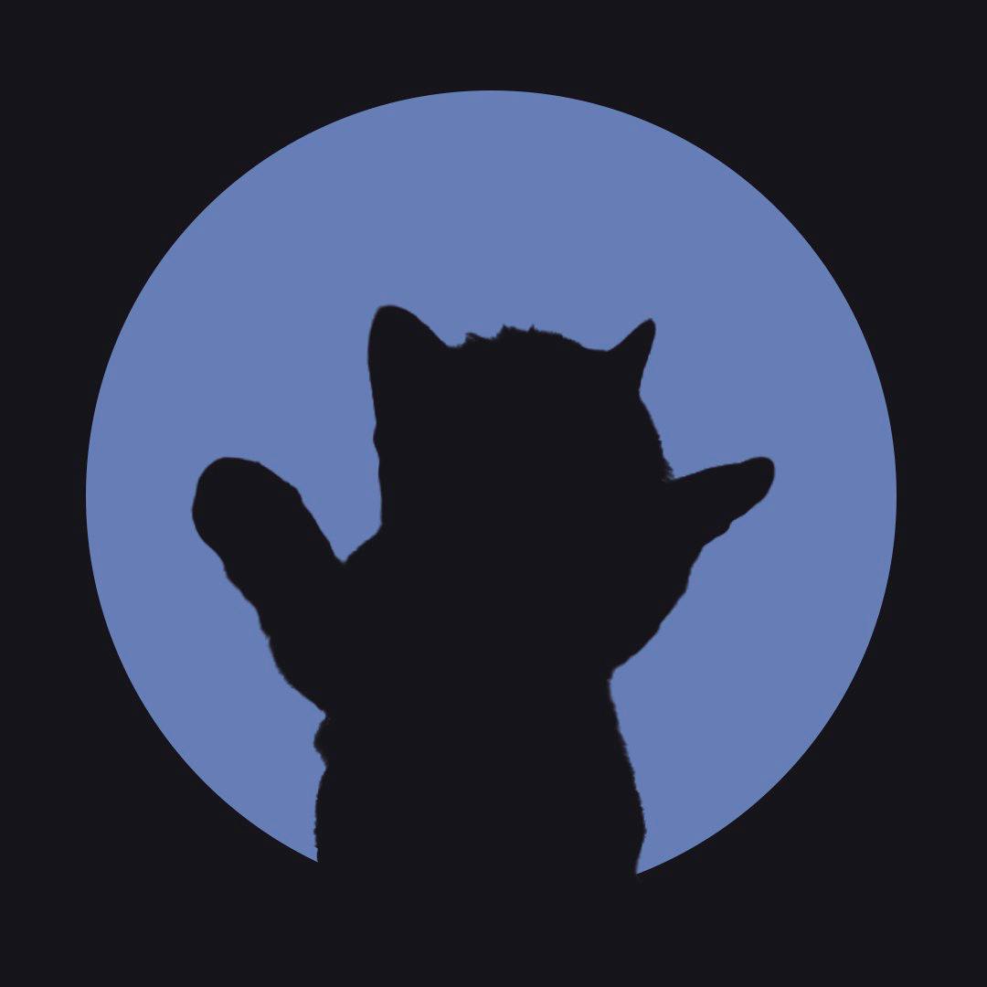 $DED CAT tweet media