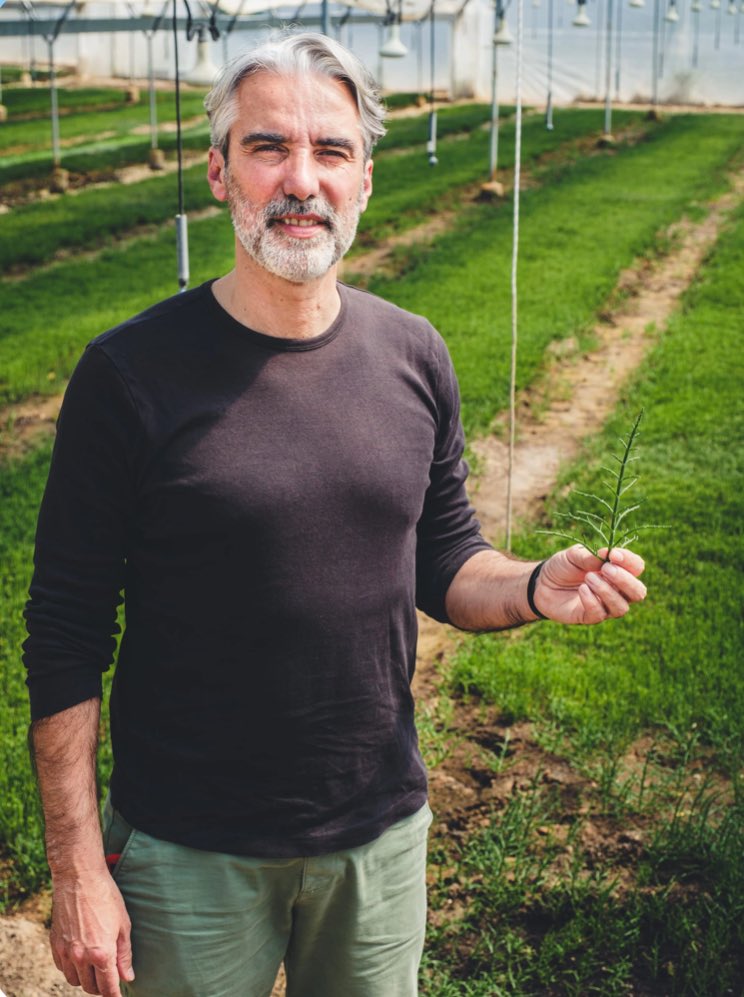 salivitae's tweet photo. We invite you to explore our agro farm, where you can learn about the wonders of Salicornia and halophyte plants. Immerse yourself in an alternative tourism experience that’s both educational and delightful.

https://t.co/eg3ZVb572i https://t.co/Opi1MMR1w8