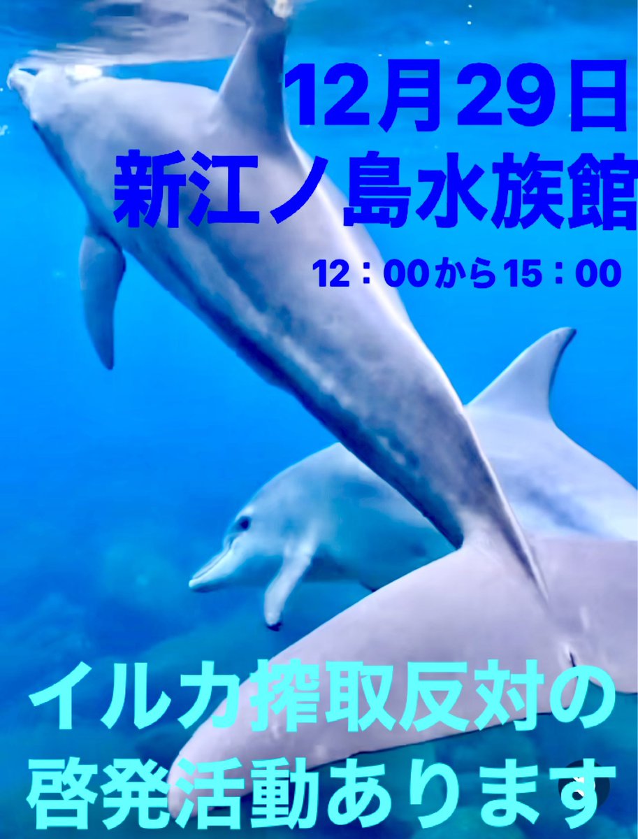 VALKANN1's tweet photo. 年内最後のイルカ啓発活動🐬🐬🐬

12/29 新江ノ島水族館
12:00~15:00

飛び込み、途中抜けありです
参加者絶賛大募集中😊🐬🐬🐬🐬🐬🐬🐬 https://t.co/2XpL2l7oNP