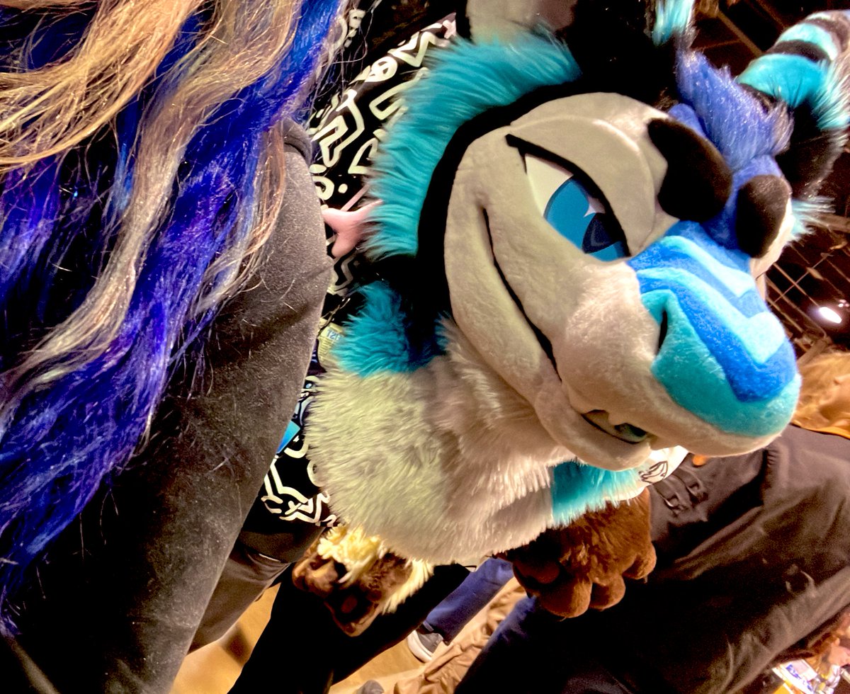 ili_Arts's tweet photo. Razz shark spotted #MFF @RazzShark 🦈 https://t.co/UiKTdOx6KV