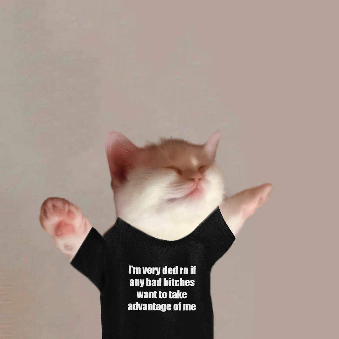 $DED CAT tweet media