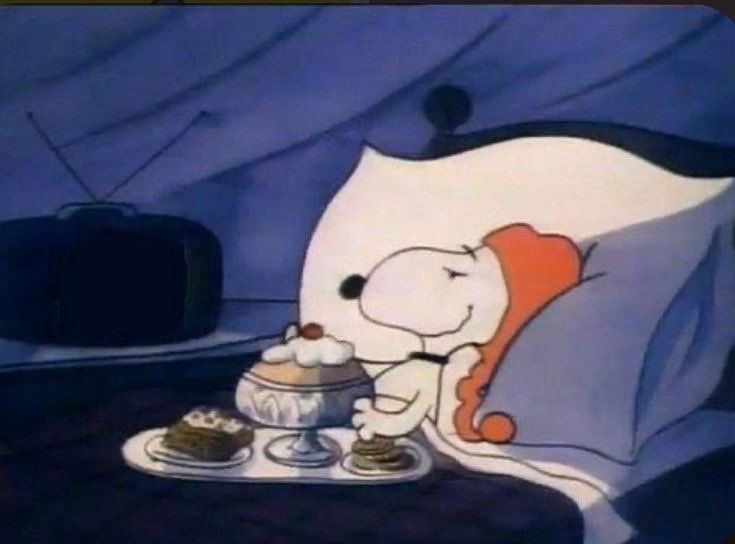 DailySnoopys's tweet image. 