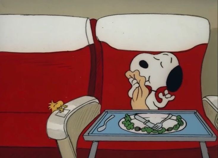 DailySnoopys's tweet image. 