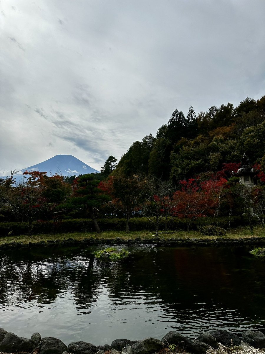 apoolex's tweet photo. Take me back to Japan 🥲 https://t.co/z4h8orJcqh