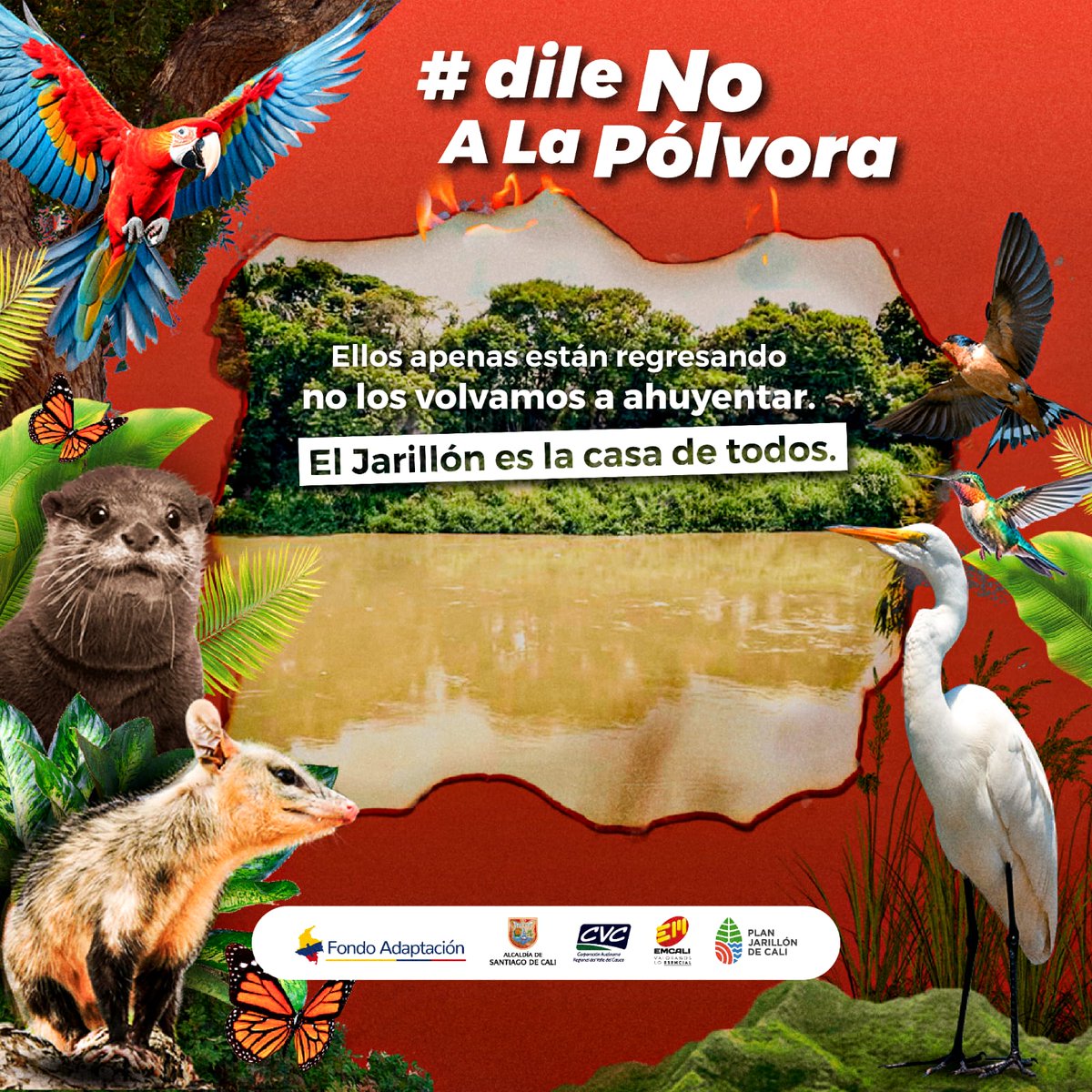 Plan Jarillón de Cali tweet media