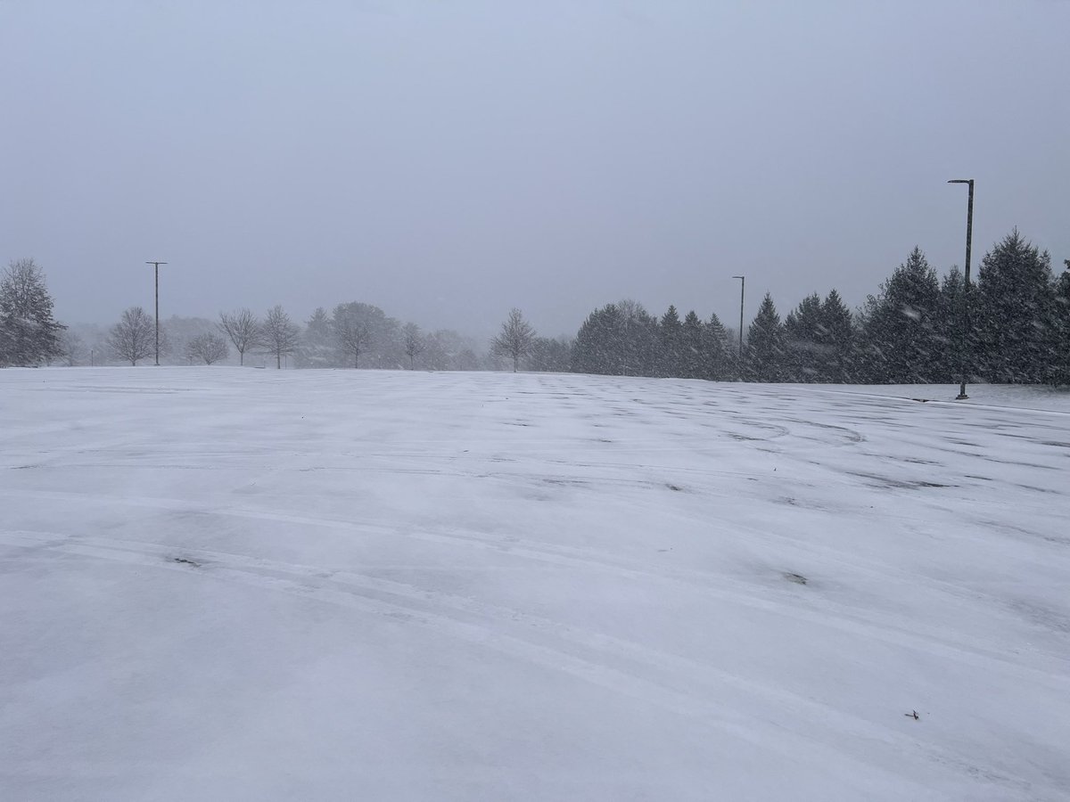 Medina Bands tweet media